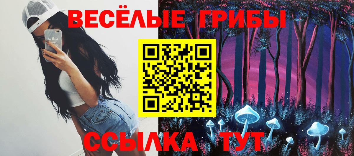 Псилоцибиновые грибы Psilocybine cubensis Луга