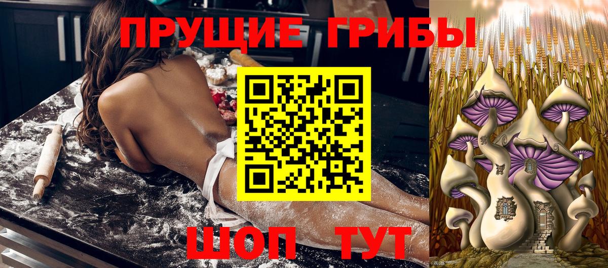 Псилоцибиновые грибы ЛСД  Псилоцибиновые грибы прущие грибы  Луга  Вход с VPN 